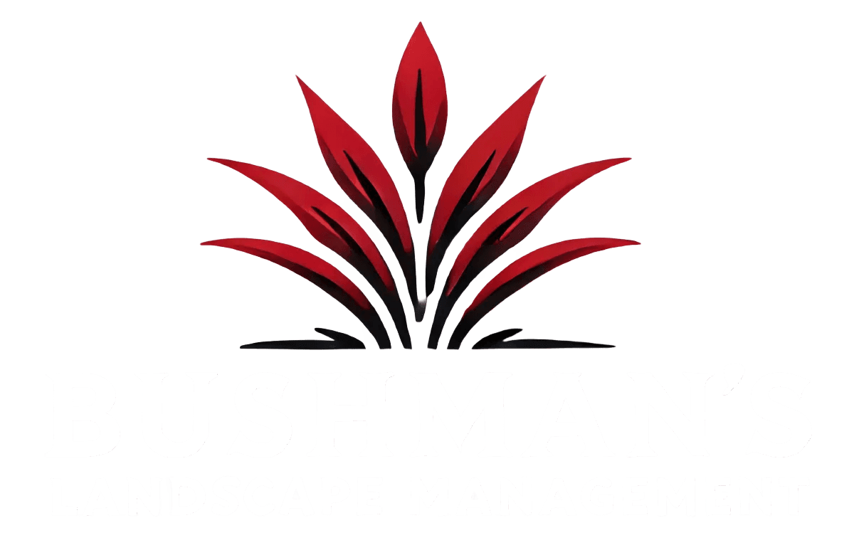 Bushman's Landscape Management